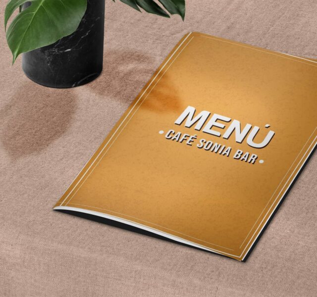 Imagen principal Bar Sonia Portfolio