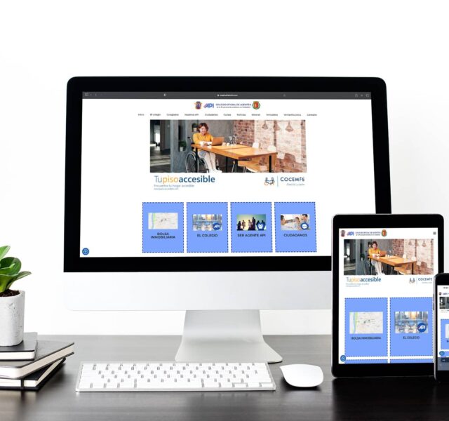 Imagen COAPI Portfolio